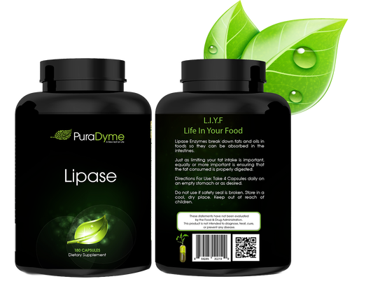 LIPASE 180 CAPSULES - Trending Wellness Store