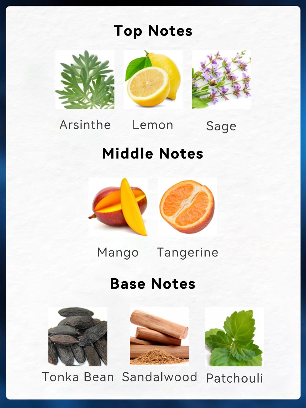 Trending Wellness Store