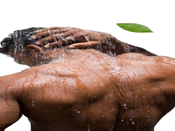 Organic Body Wash - 7 Organic Fragrances - For Men - Trending Wellness Store
