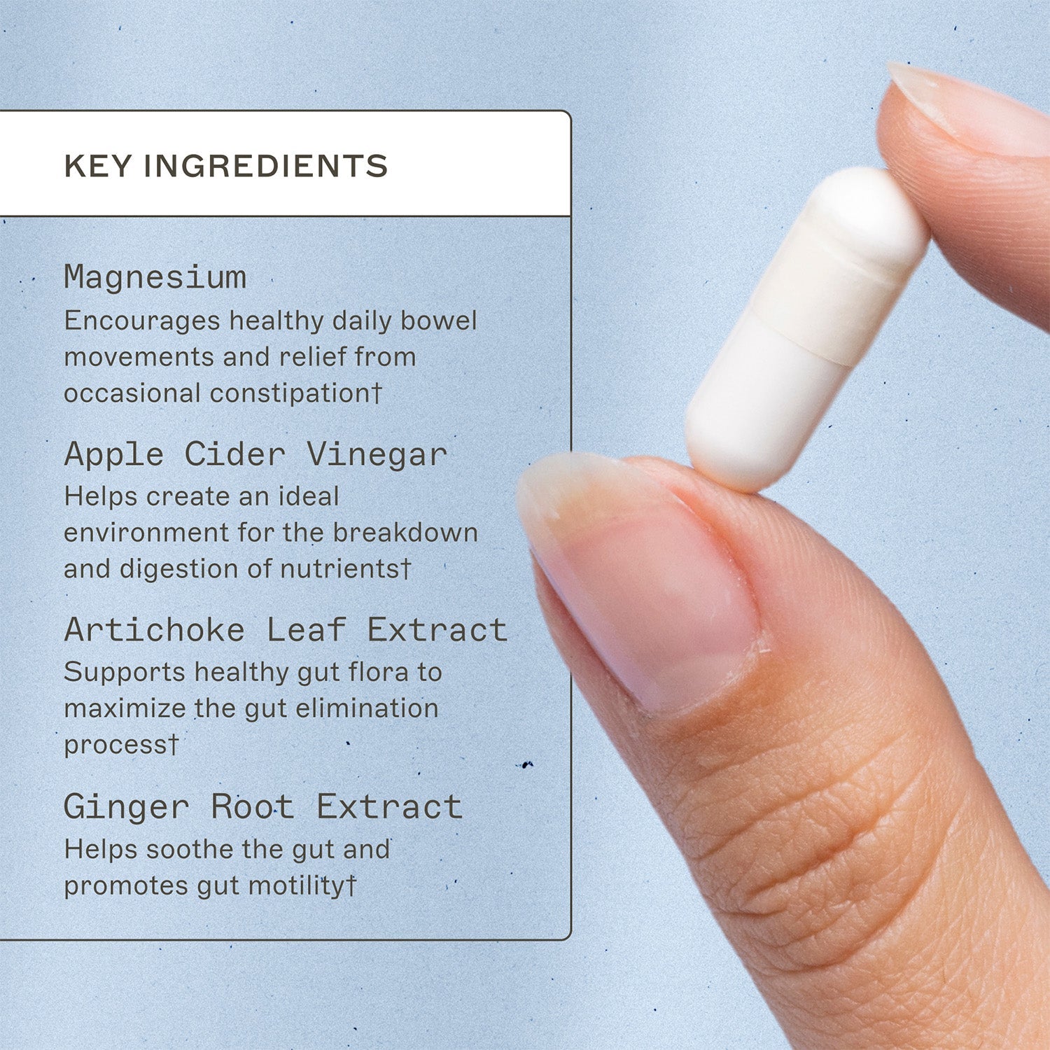 Trending Wellness Store