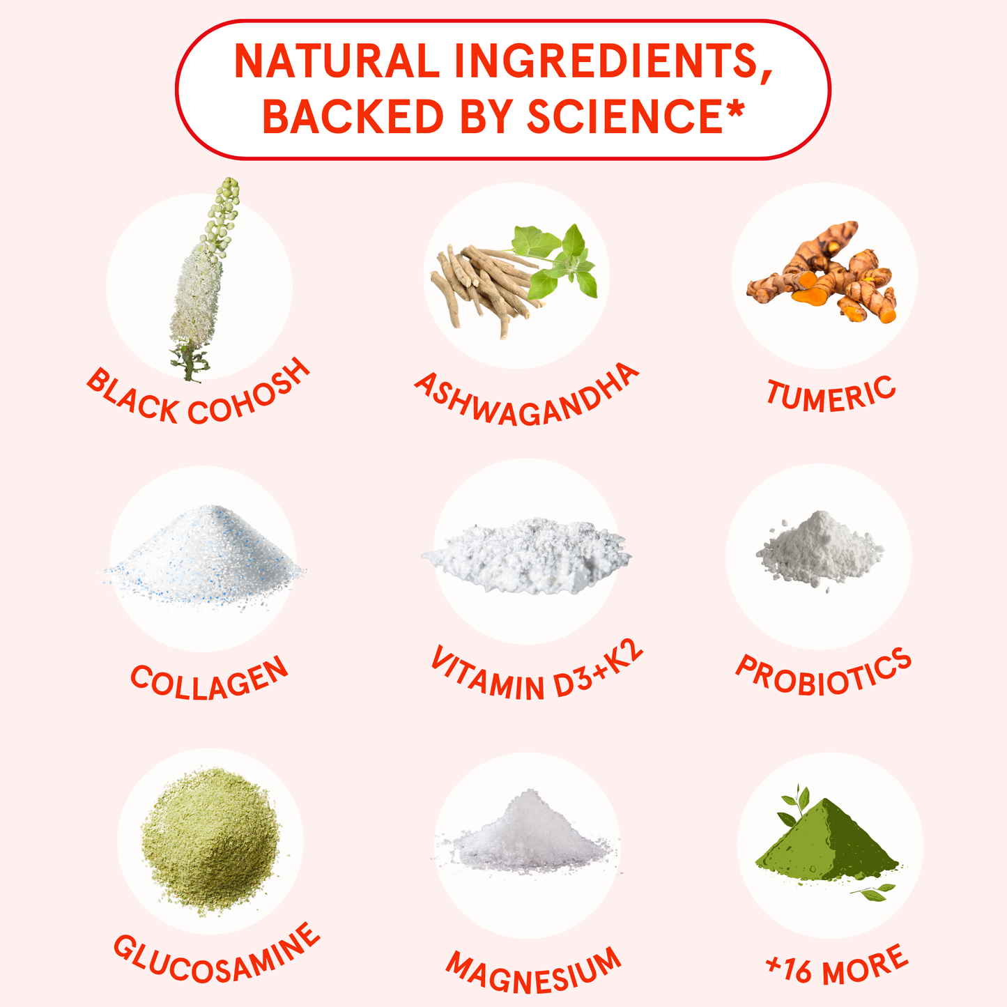 Menopause Multivitamin - Trending Wellness Store