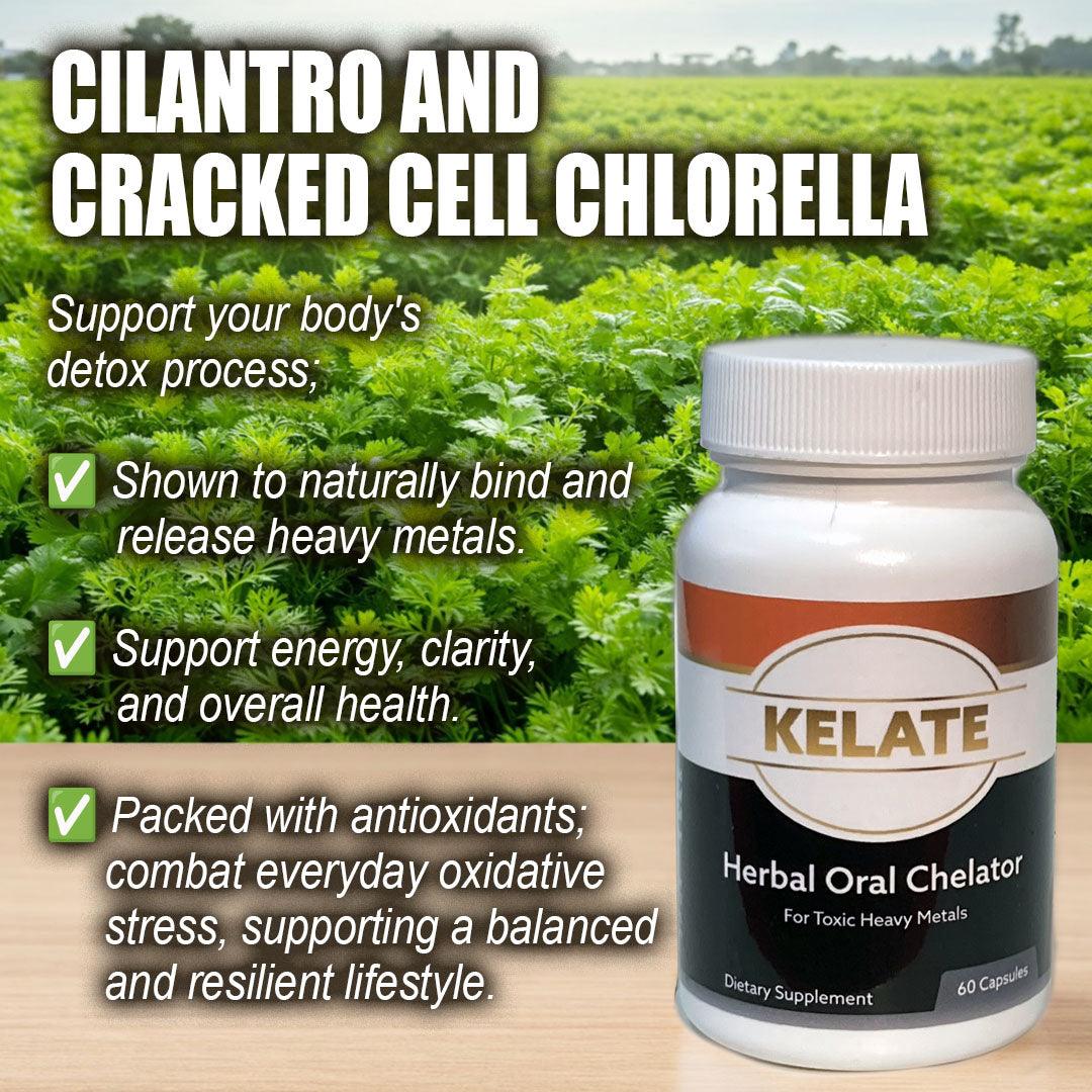 Metal Support Supplement - Trending Wellness Store