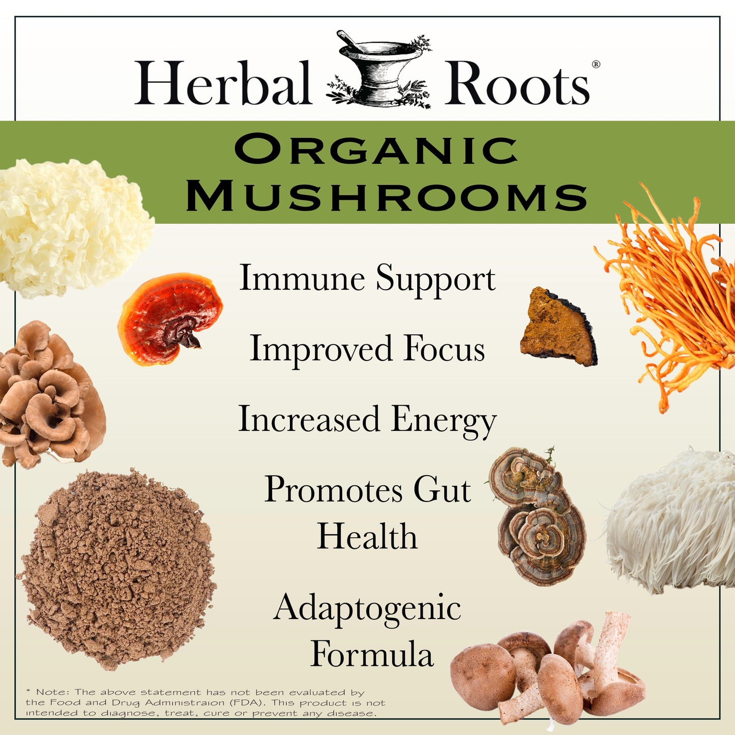 Organic Mushrooms Blend - Trending Wellness Store