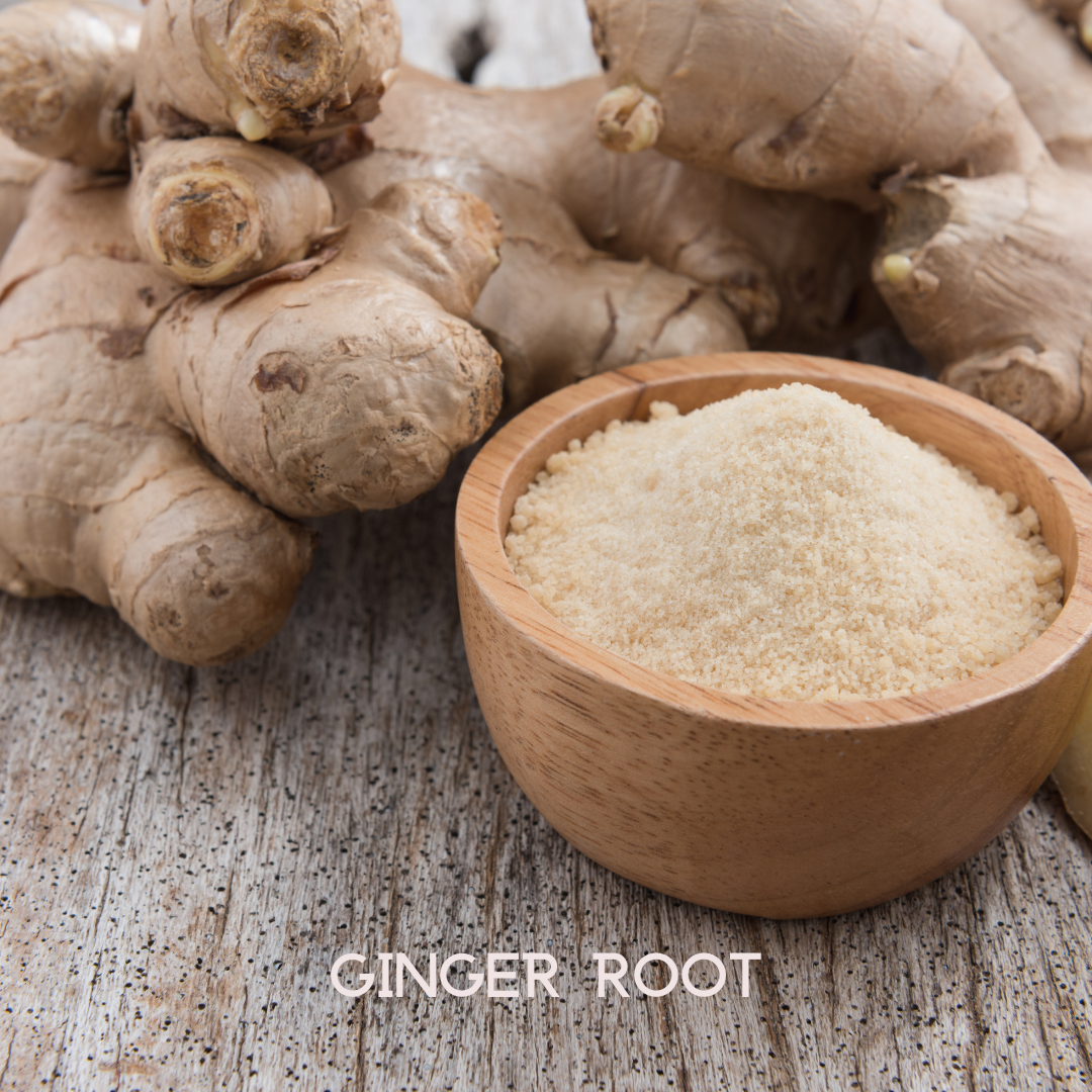 Trending Wellness Store