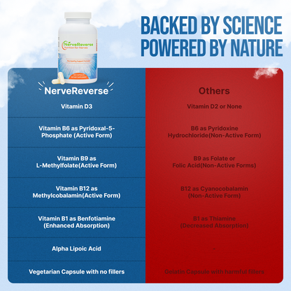 NerveReverse Neuropathy Support Formula - Trending Wellness Store