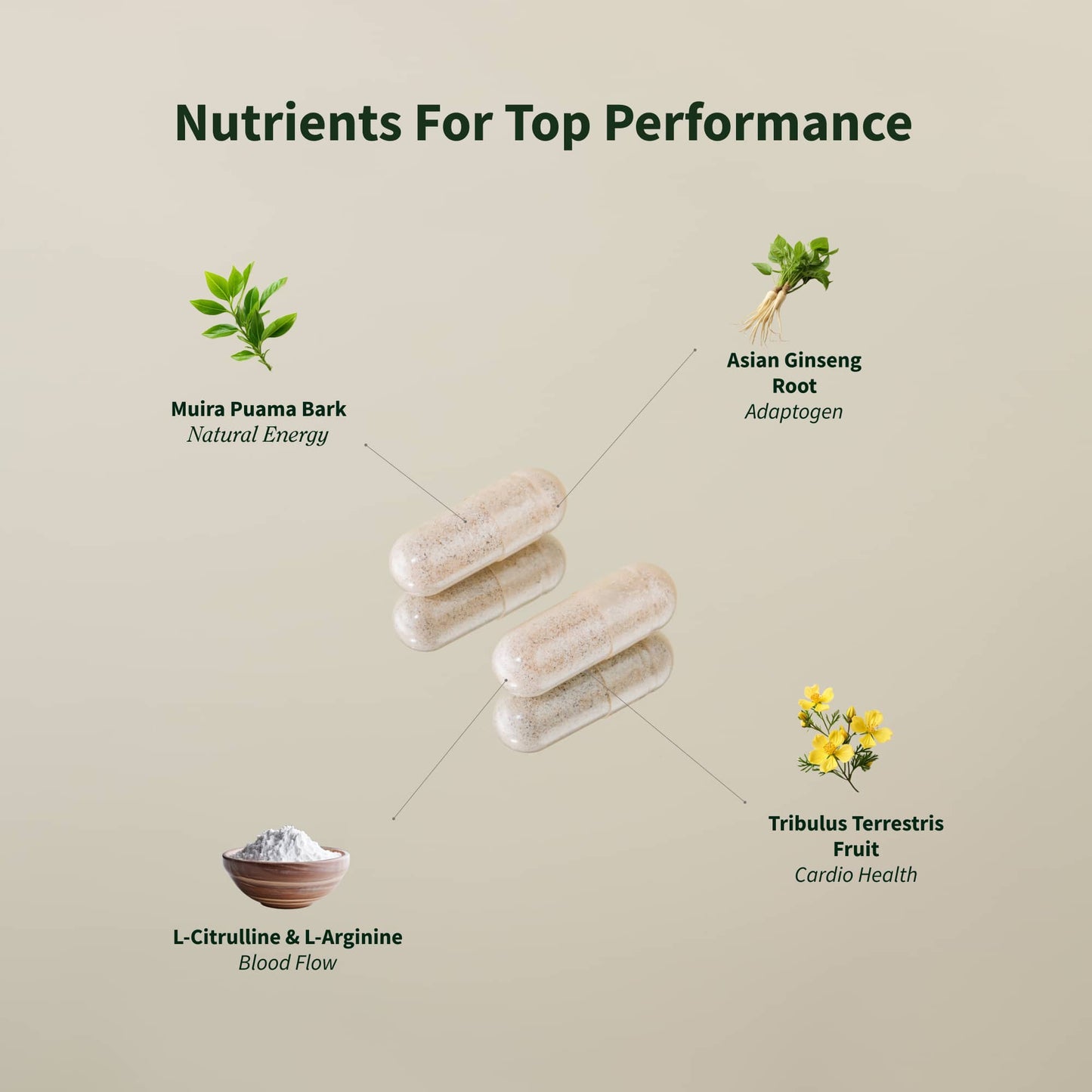 Nitric Oxide + Testo Booster Bundle (2+1 BOGO) - Trending Wellness Store