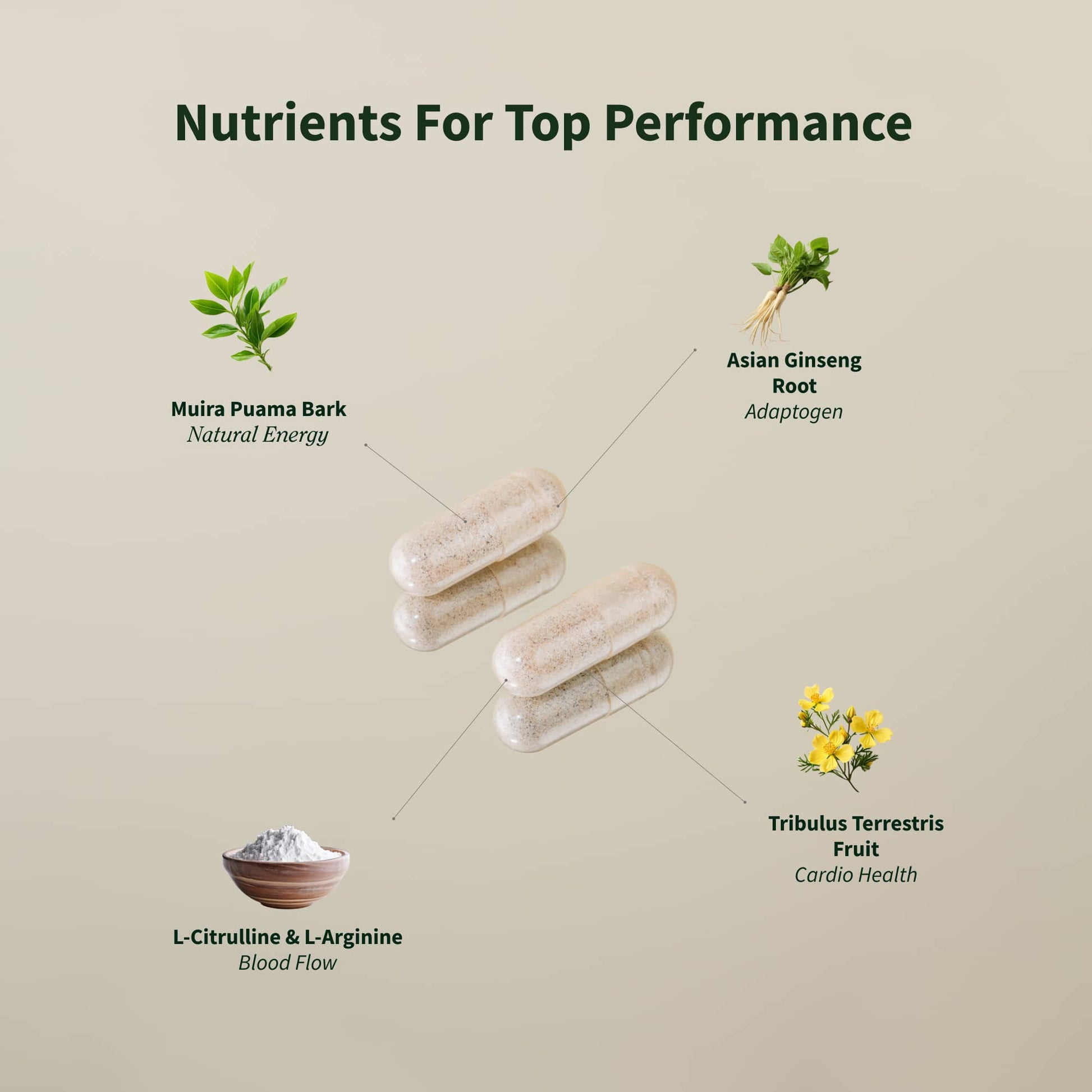 Nitric Oxide + Testo Booster Bundle (2+1 BOGO) - Trending Wellness Store