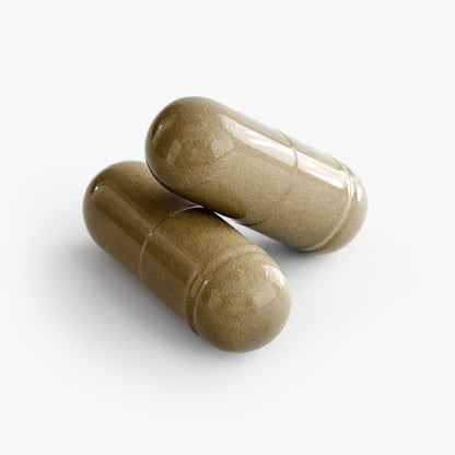 GINKGO BILOBA + GINSENG - Trending Wellness Store