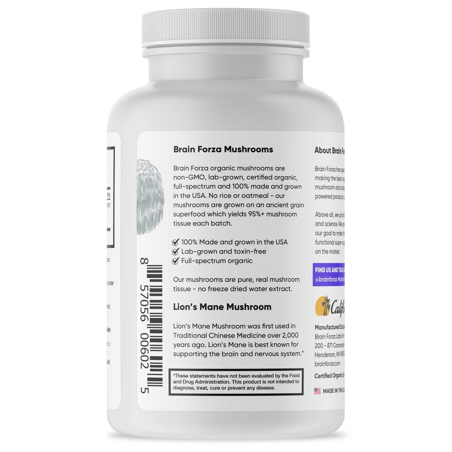 Organic Lion's Mane Mushroom, 90 Capsules - Trending Wellness Store