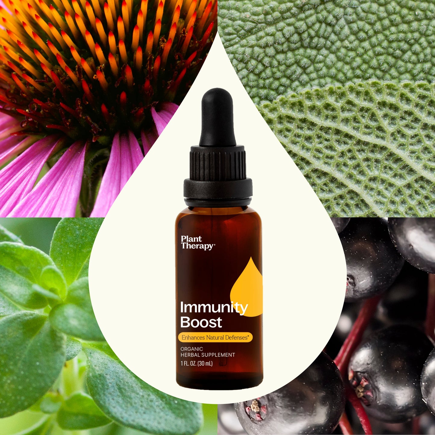 Immunity Boost Organic Herbal Supplement - Trending Wellness Store