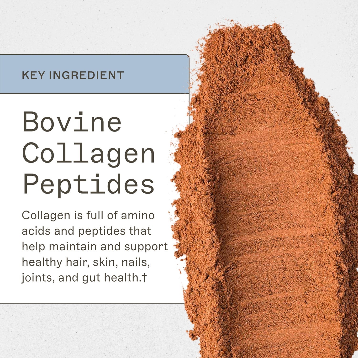 Trending Wellness Store