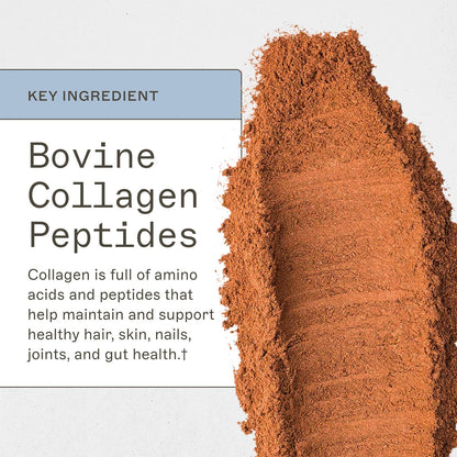 Paleo Protein - Mocha Latte - Trending Wellness Store