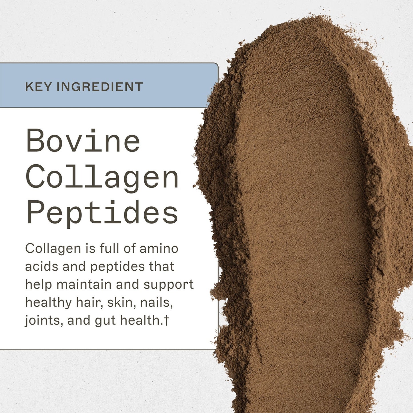 Paleo Protein Powder - Double Chocolate - Trending Wellness Store