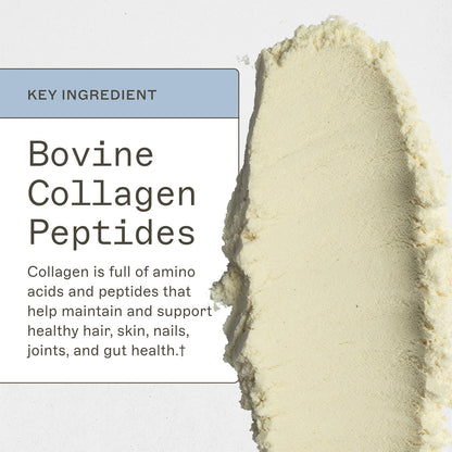 Paleo Protein Powder - Vanilla Bean - Trending Wellness Store