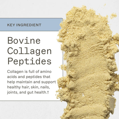 Paleo Protein - Pumpkin Spice - Trending Wellness Store