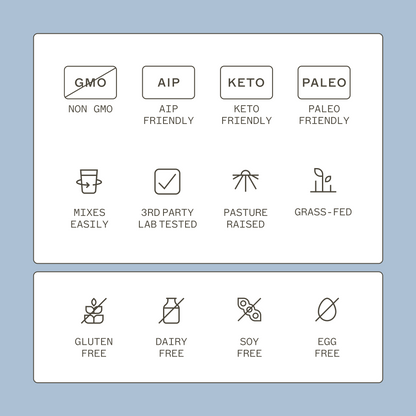 Paleo Protein - Pumpkin Spice - Trending Wellness Store