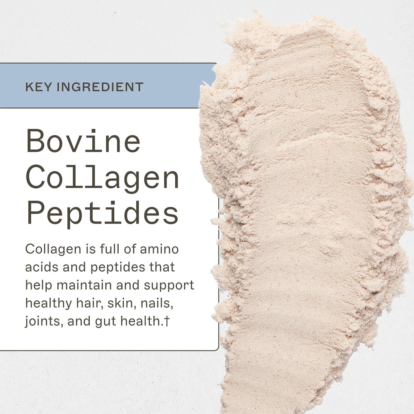 Paleo Protein - Strawberries & Cream - Trending Wellness Store