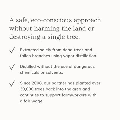 Palo Santo Hair & Body Mist (4oz)- Collective - Trending Wellness Store