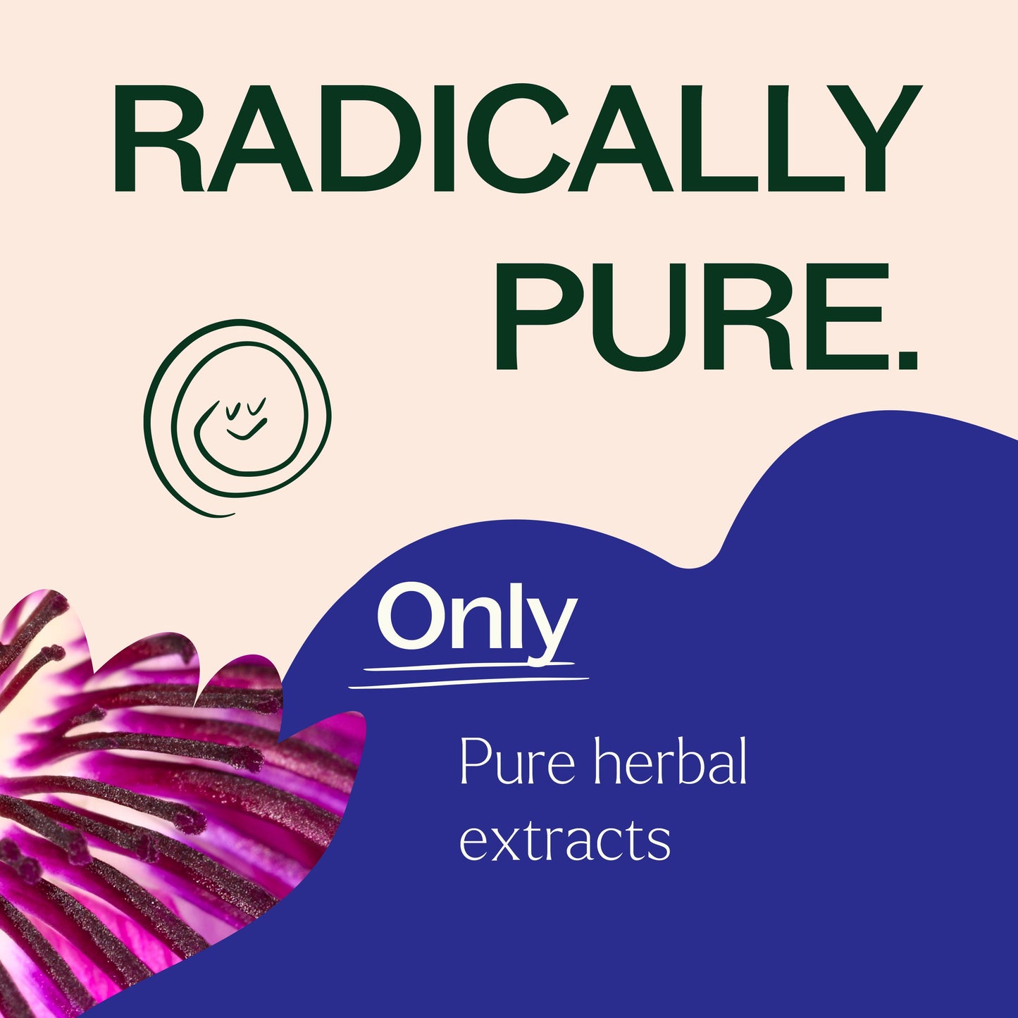 Passionflower Herbal Supplement - 120 Capsules - Trending Wellness Store