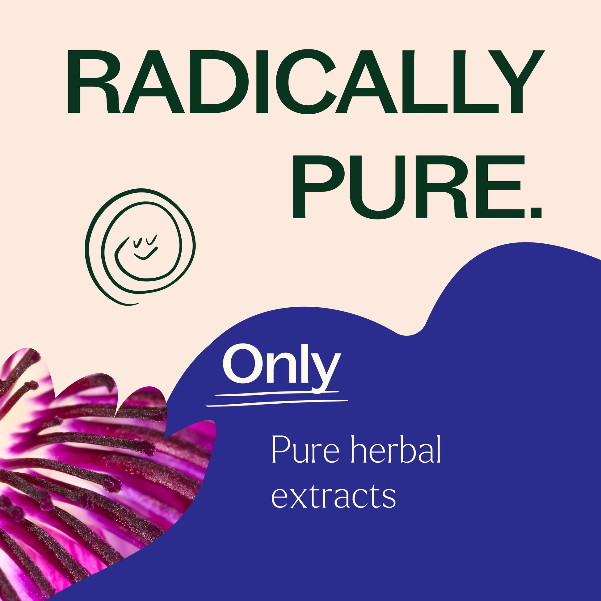 Passionflower Herbal Supplement - 120 Capsules - Trending Wellness Store