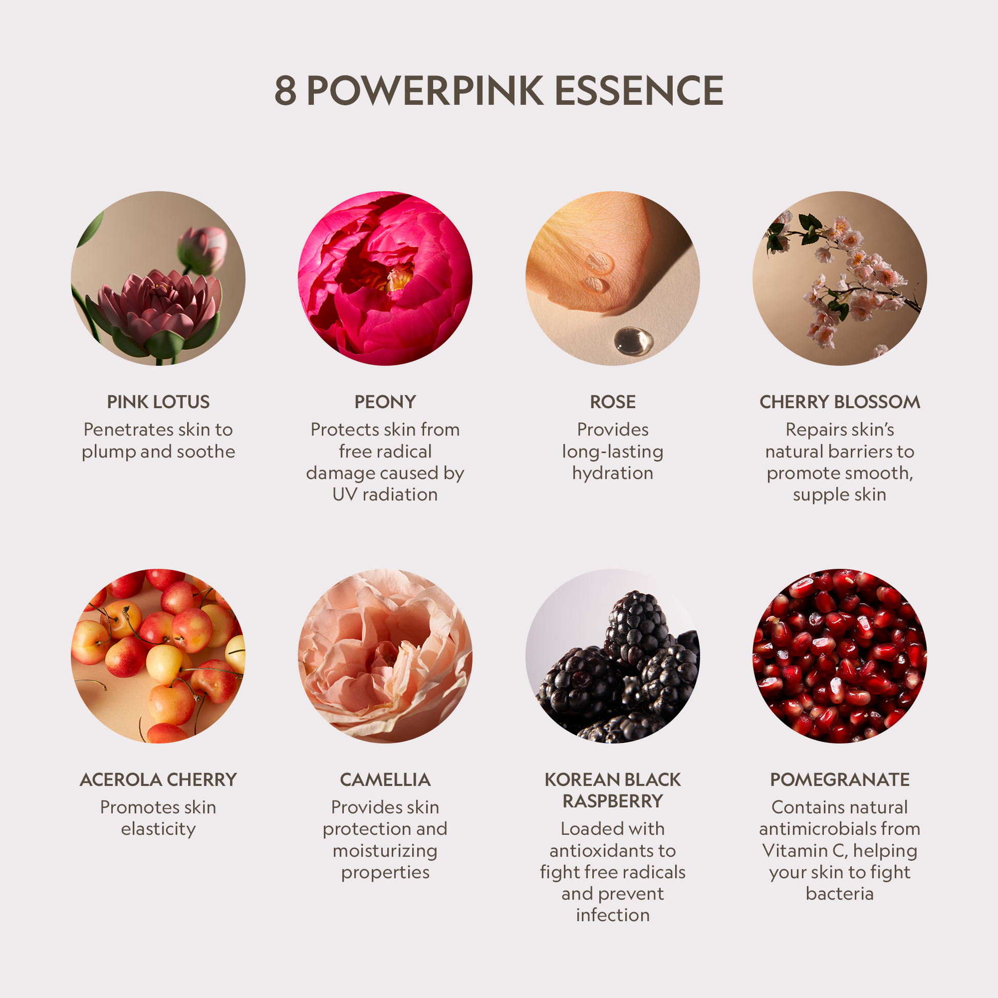 Trending Wellness Store