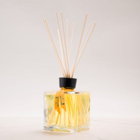 Prima Spremitura Agrumi Scented Room Diffuser 250 ml - Trending Wellness Store