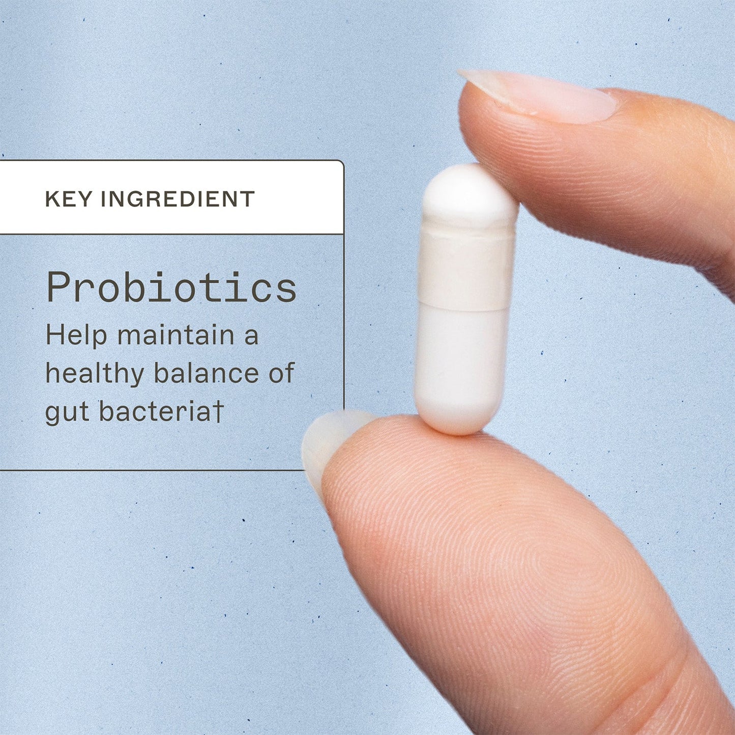 Probiotic Capsules 30 Billion - Trending Wellness Store