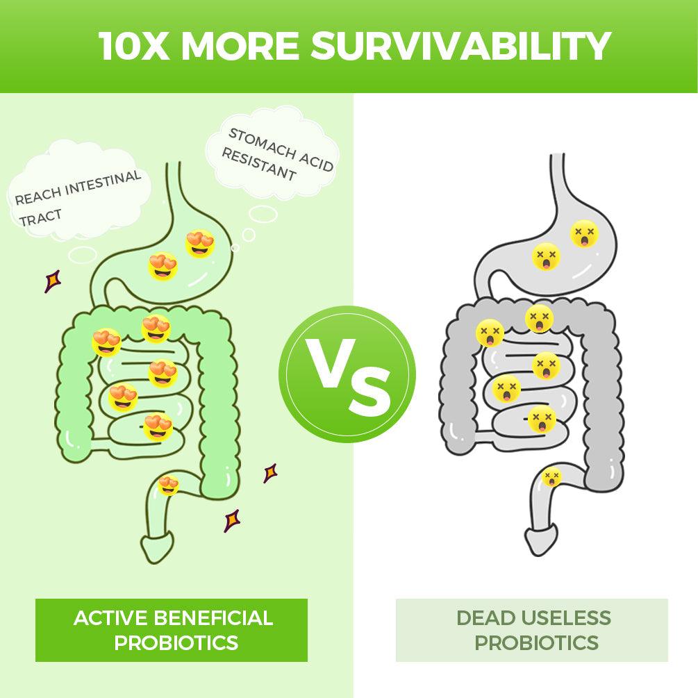 Trending Wellness Store