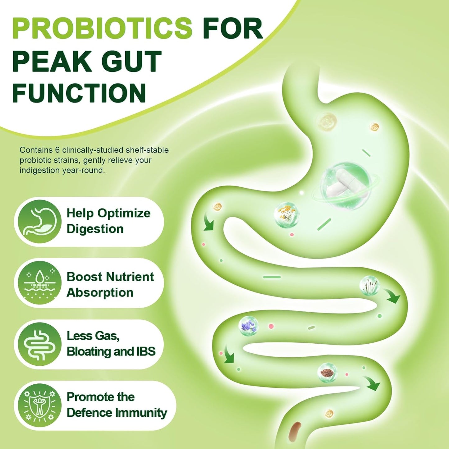 Probiotics with Prebiotic Fiber, 60 Billion CFUs, 120 Capsules - Trending Wellness Store