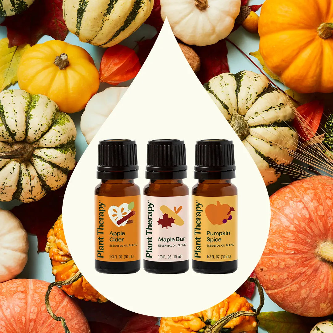 Pumpkins & Porch Swings Essential Oil Blend 3 Set - Trending Wellness Store