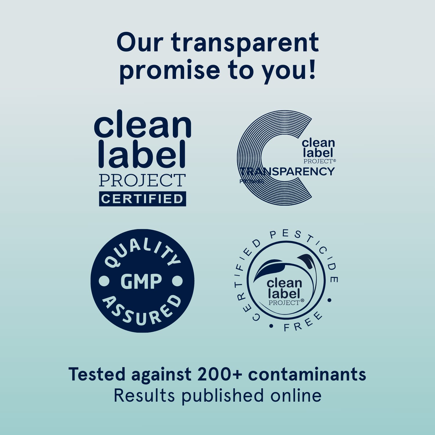 C+ - Creatine+ Performance Support - Trending Wellness Store