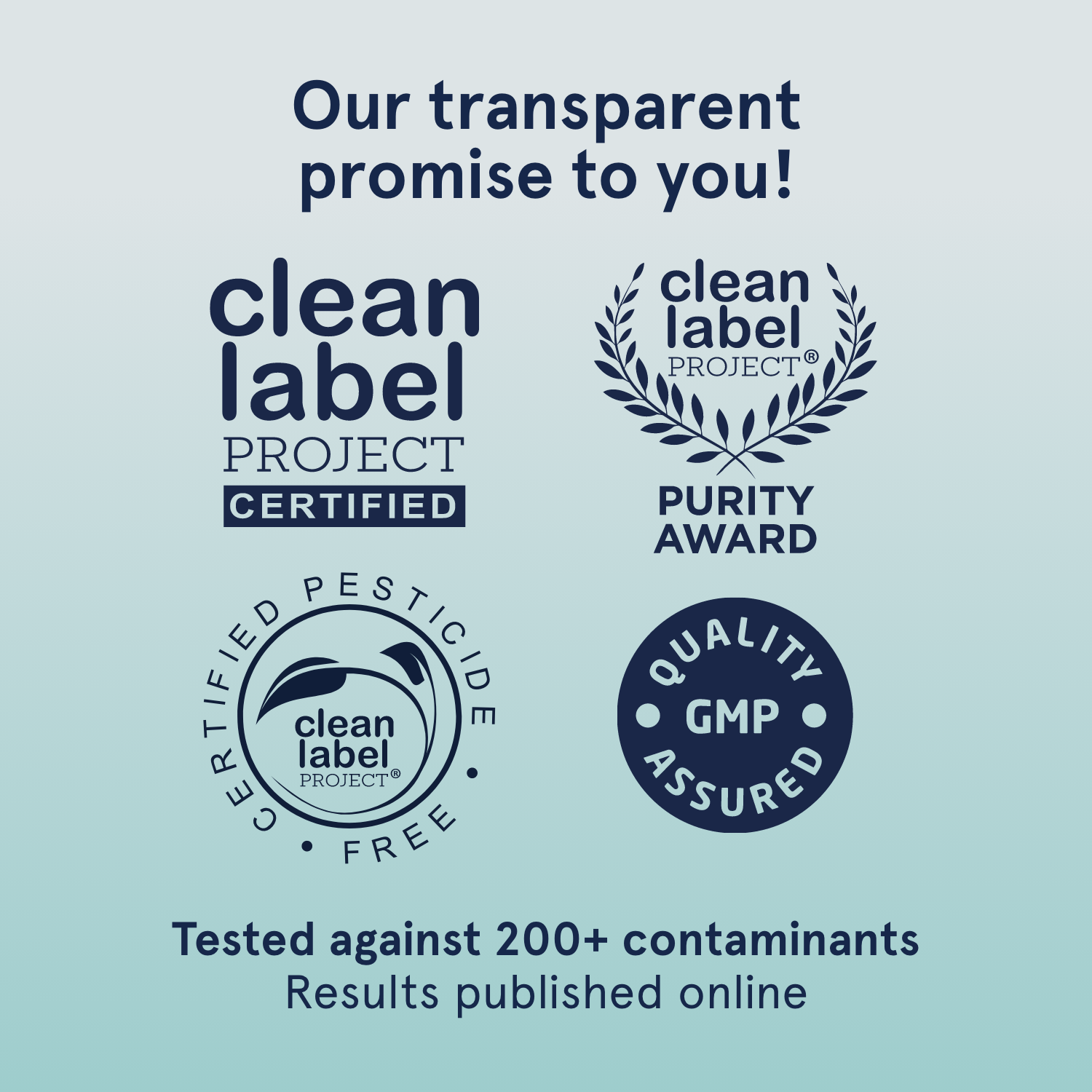 PB - Plant Protein Booster - Trending Wellness Store