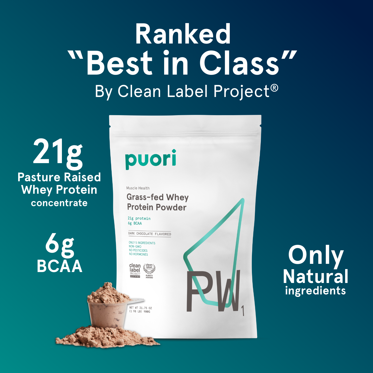 PW1 - Whey Protein with Dark Chocolate - Trending Wellness Store
