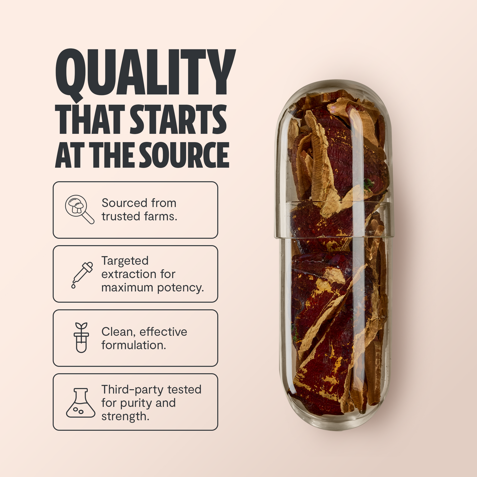 Trending Wellness Store