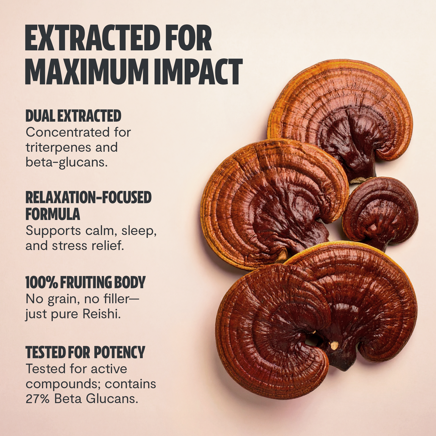 Reishi Mushroom Extract Capsules - Trending Wellness Store