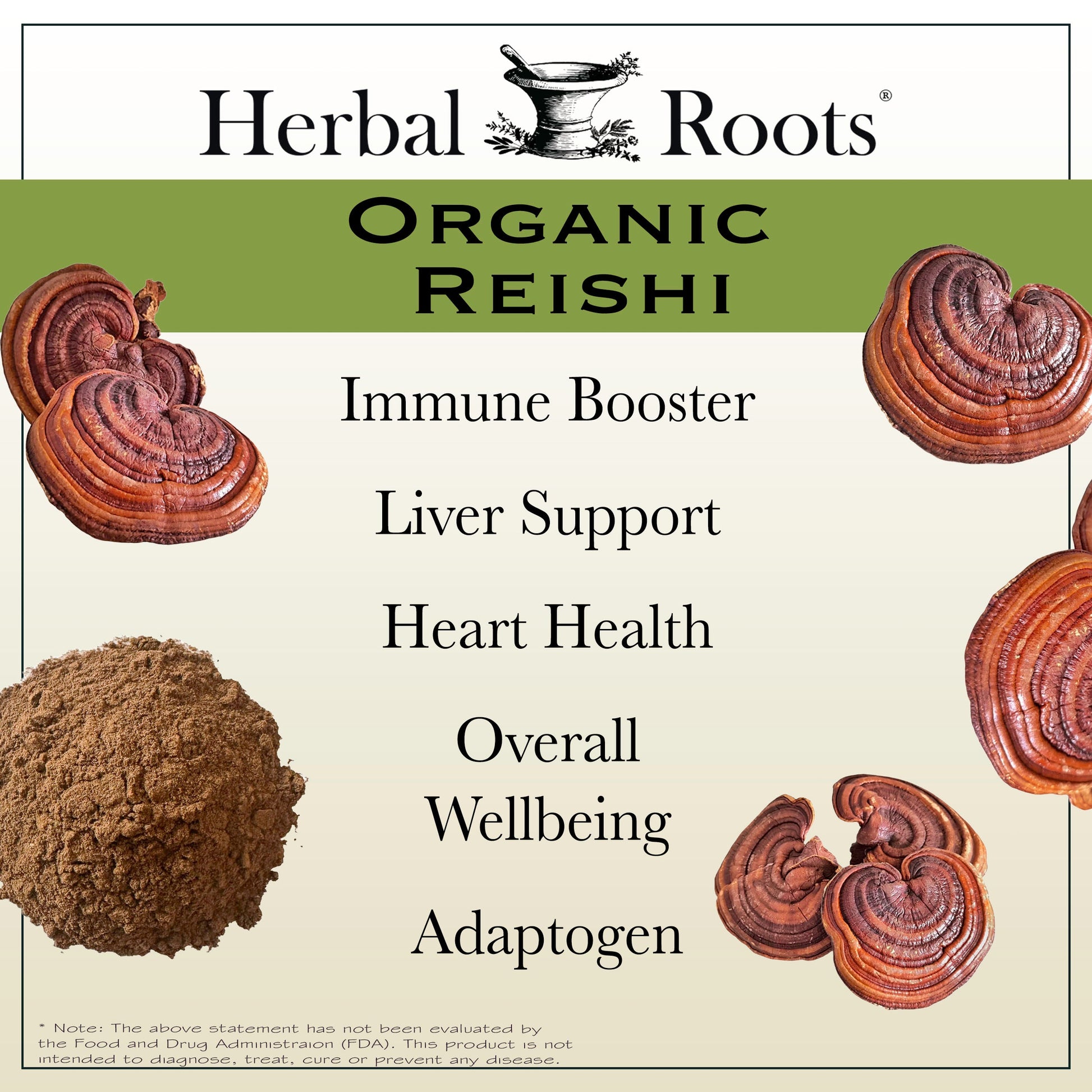 Organic Reishi Mushroom - Trending Wellness Store