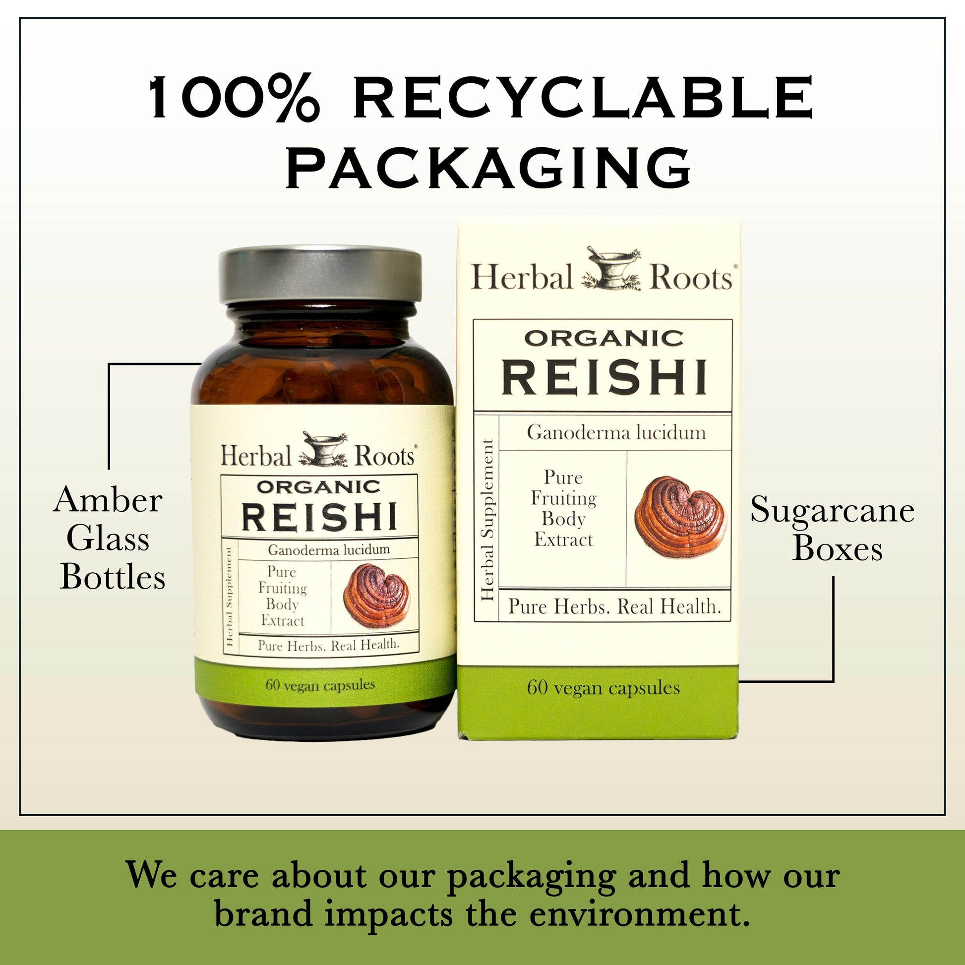 Organic Reishi Mushroom - Trending Wellness Store