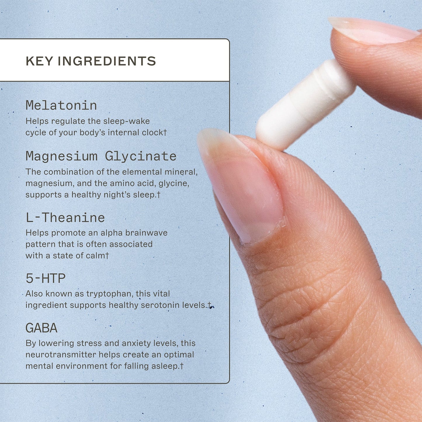 Rest and Restore with Melatonin - Trending Wellness Store