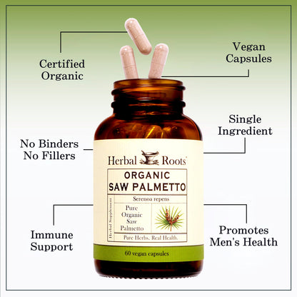 Organic Saw Palmetto - Trending Wellness Store