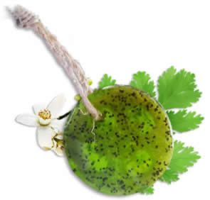 Speckless Soap Bar. Chia, Lemon, Parsley, and Coconut Oil. - Trending Wellness Store