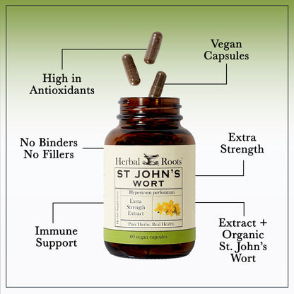 St. John's Wort - Trending Wellness Store