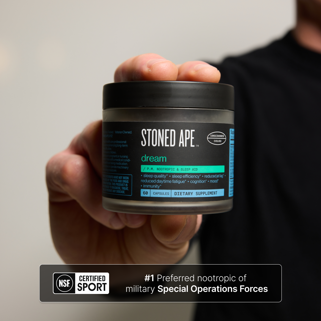 Dream: P.M. Nootropic & Sleep Aid for Recovery - Trending Wellness Store