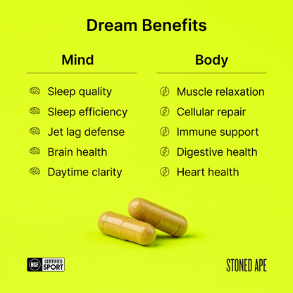 Dream: P.M. Nootropic & Sleep Aid for Recovery - Trending Wellness Store