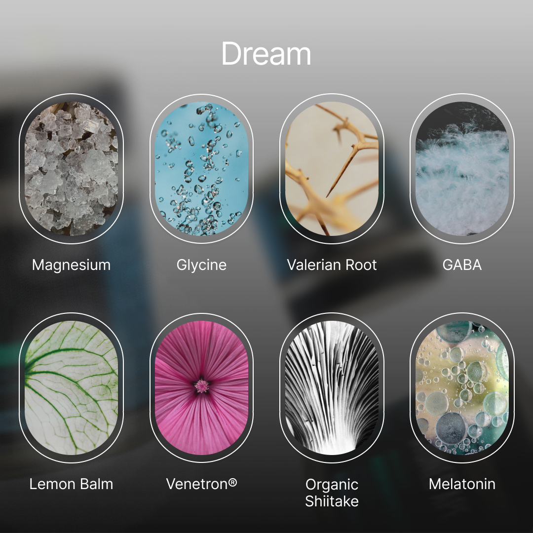 Dream: P.M. Nootropic & Sleep Aid for Recovery - Trending Wellness Store