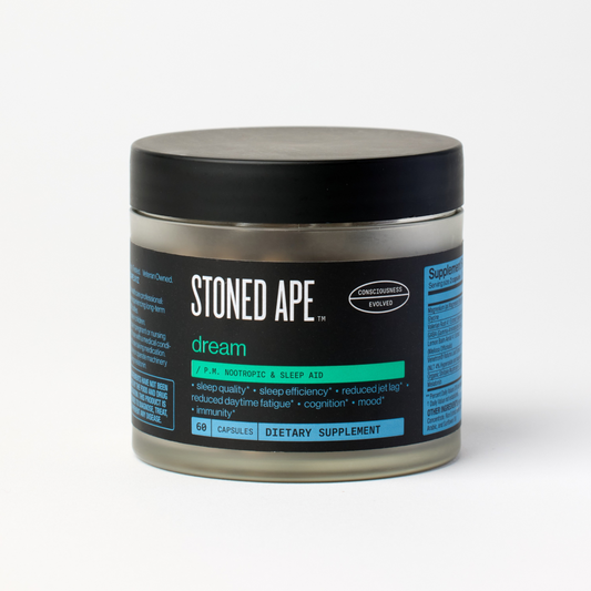 Dream: P.M. Nootropic & Sleep Aid for Recovery - Trending Wellness Store