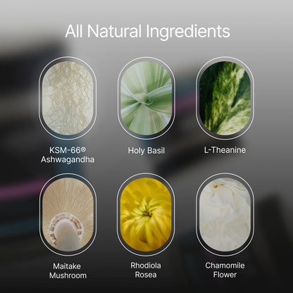 ZenX: Mood Support Nootropic - Trending Wellness Store