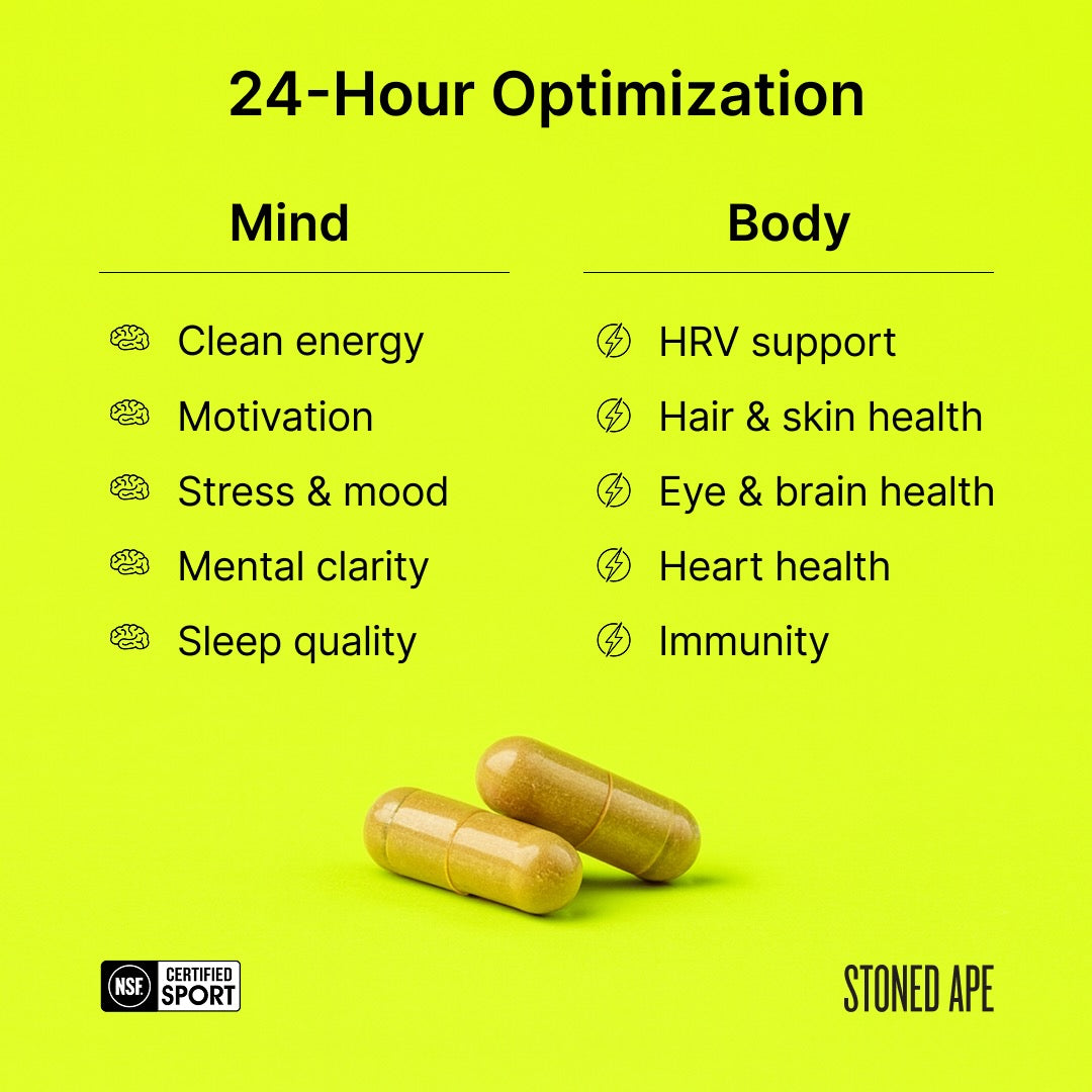 Nootropack: Our Nootropic Bundle - Trending Wellness Store