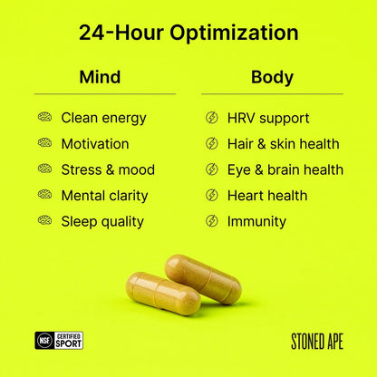 Nootropack: Our Nootropic Bundle - Trending Wellness Store