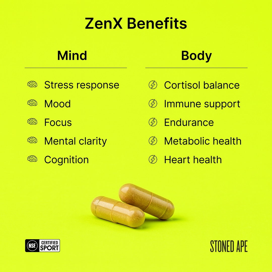 Calm Energy Bundle (Xnergy + ZenX) - Trending Wellness Store