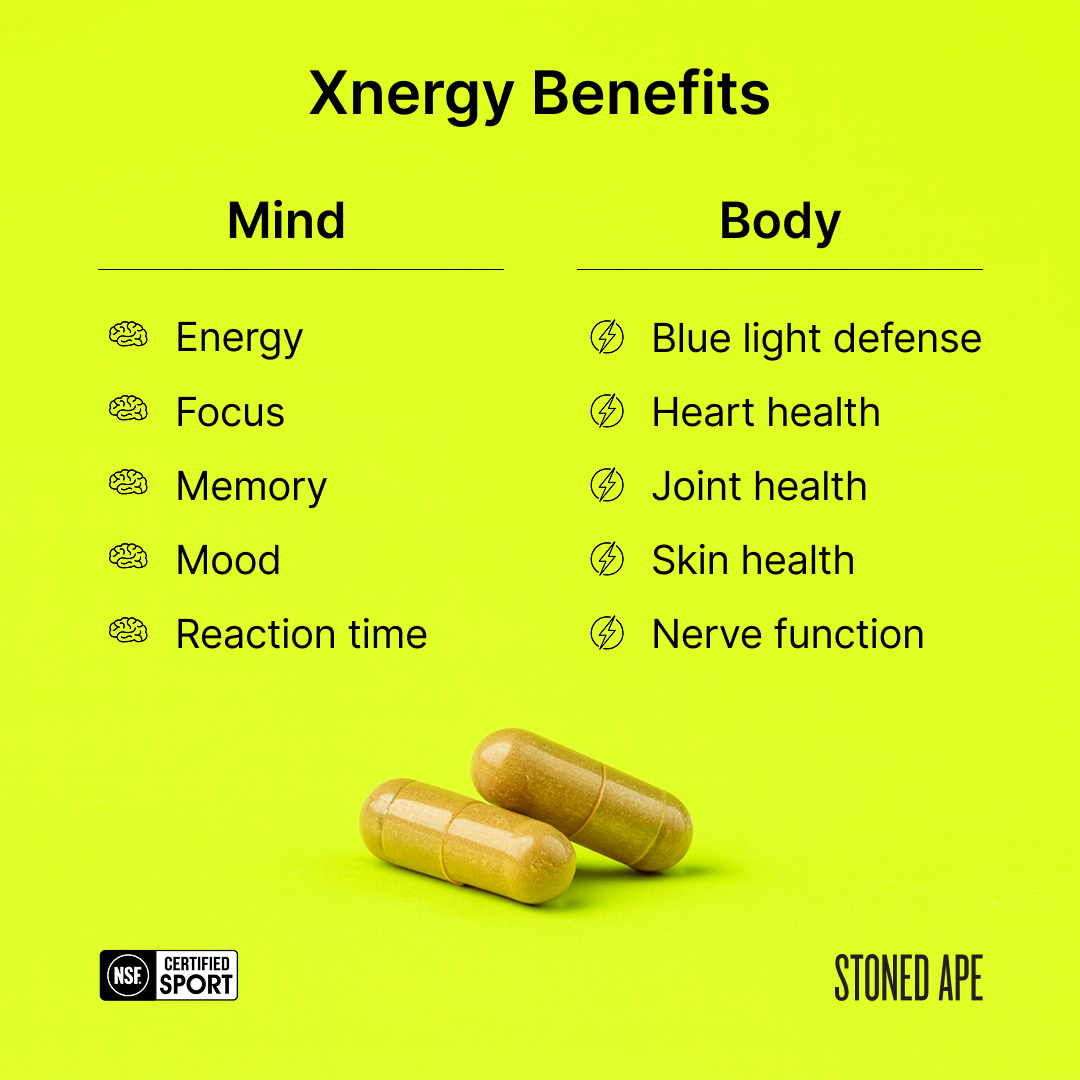 Xnergy: A.M. Nootropic for Calm Energy, Focus & Motivation - Trending Wellness Store
